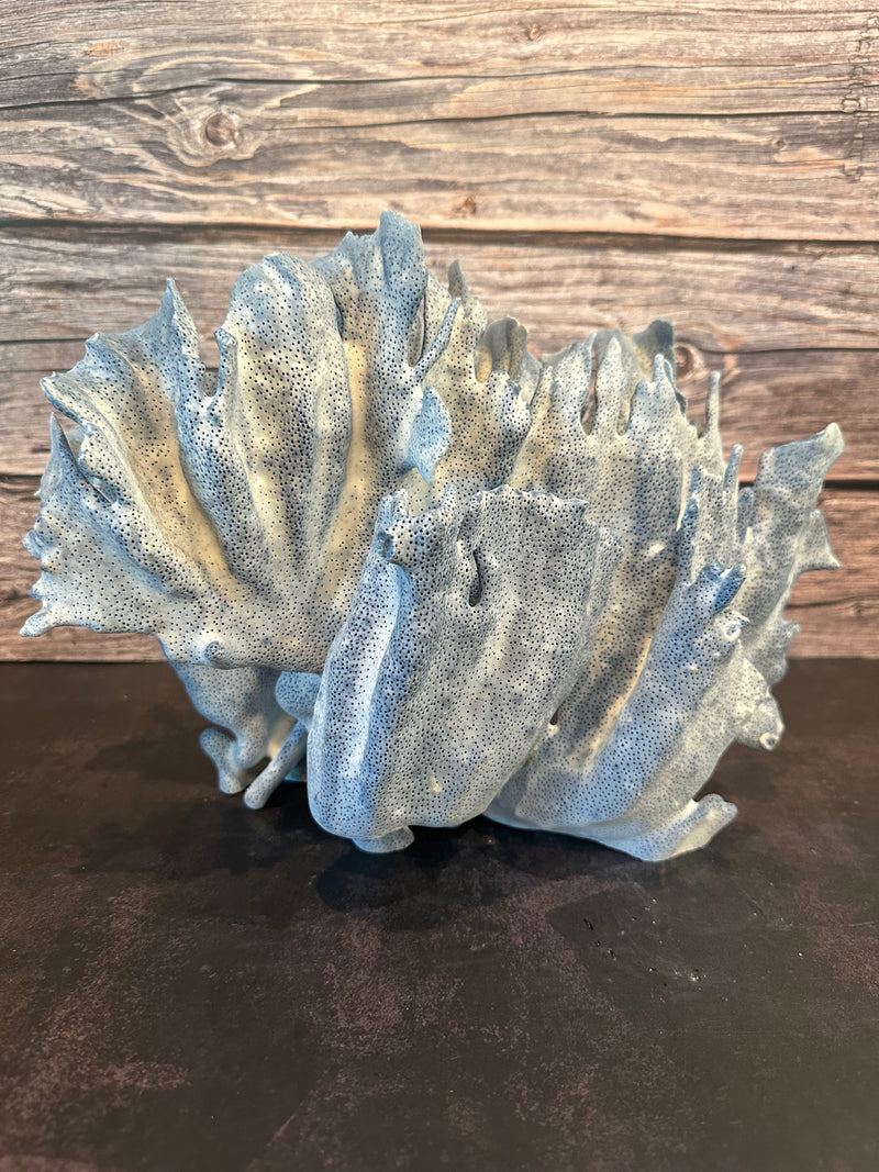 Blue Ridge Coral 15x10x10"