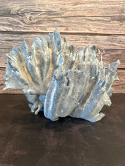 Blue Ridge Coral 15x10x10