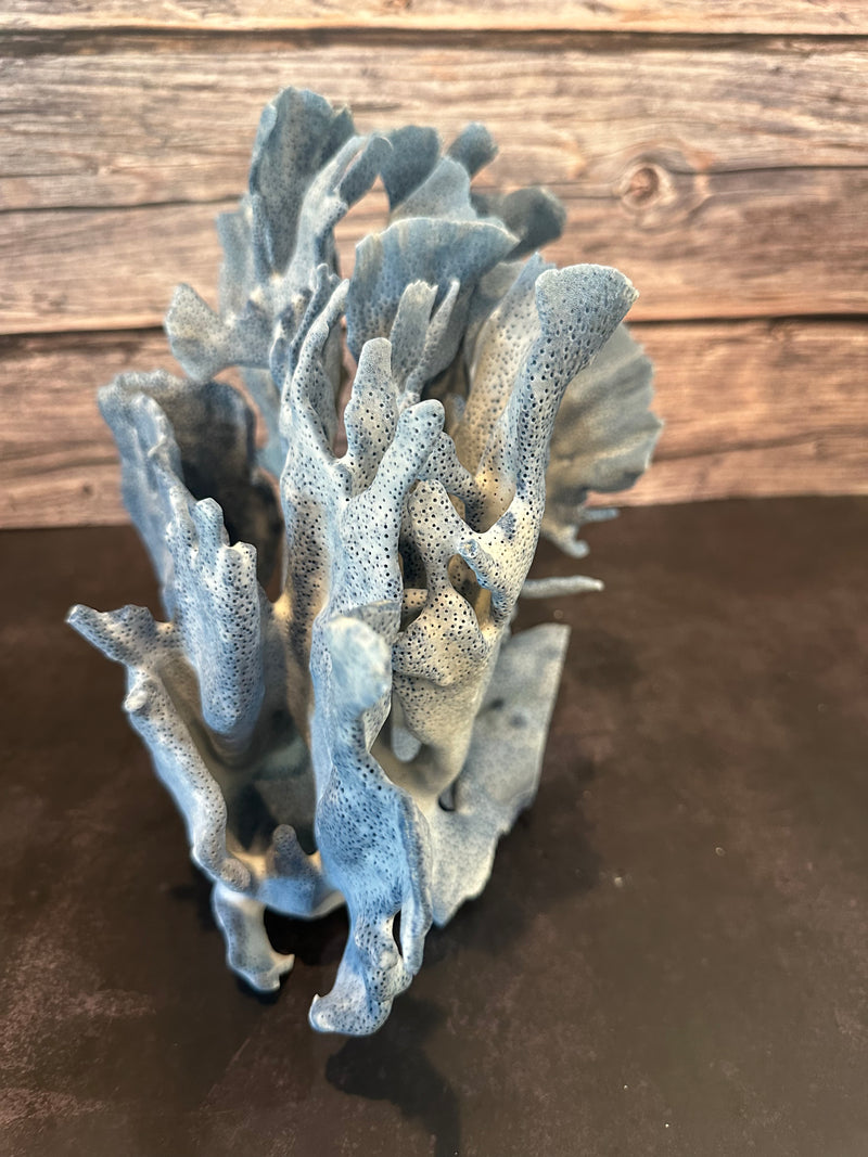 Blue Ridge Coral 15x10x10"