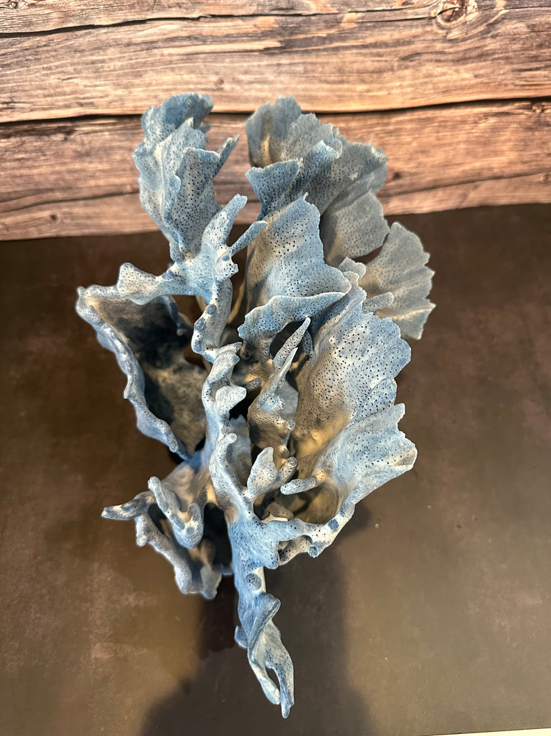 Blue Ridge Coral 15x10x10"