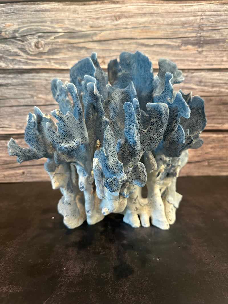 Vintage Blue Ridge Coral 12x13x11"