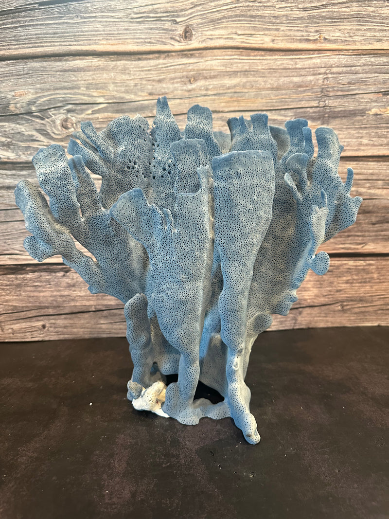 Blue Coral 15x10x12"