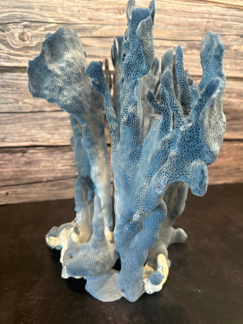 Blue Coral 15x10x12"