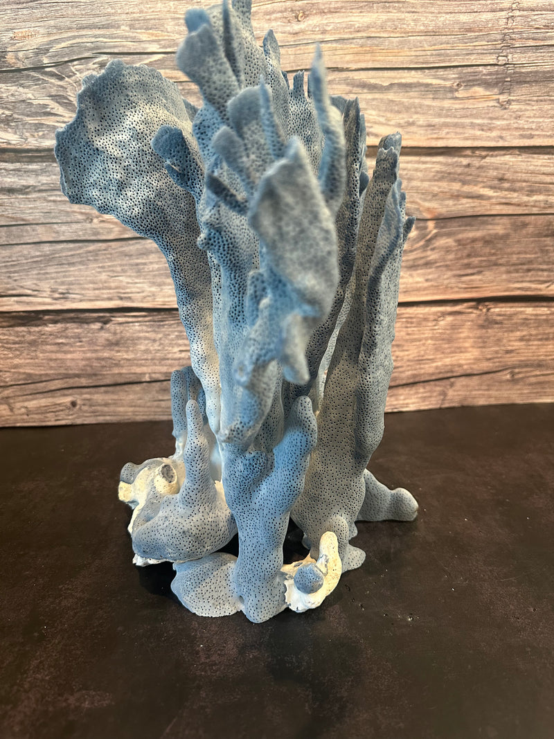 Blue Coral 15x10x12"