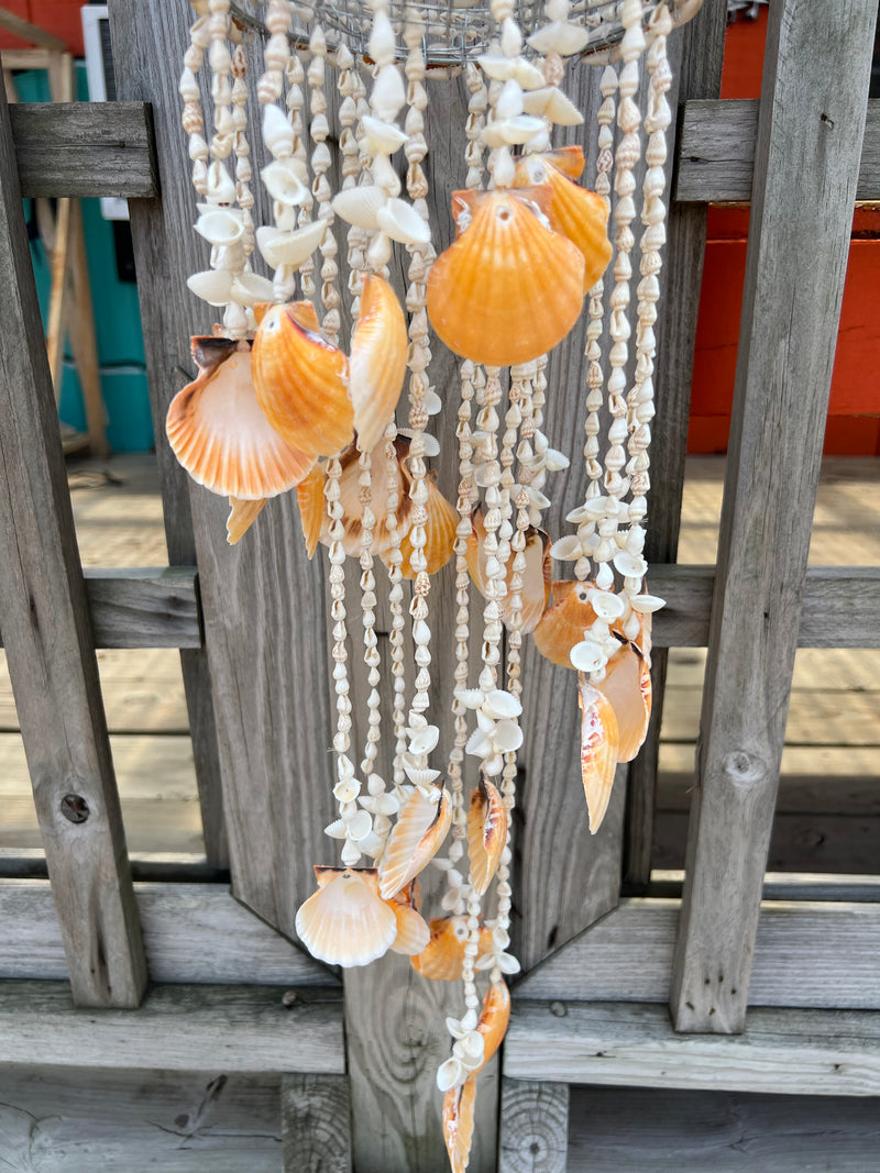 Cowry Shell Wind Chime- 3 Pectin Types