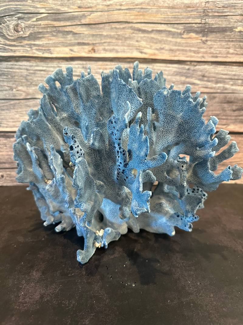 Blue Ridge Coral 12x10x10"