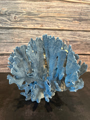 Blue Ridge Coral 12x10x10