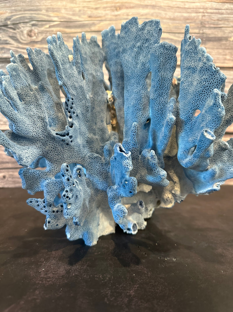 Blue Ridge Coral 12x10x10"