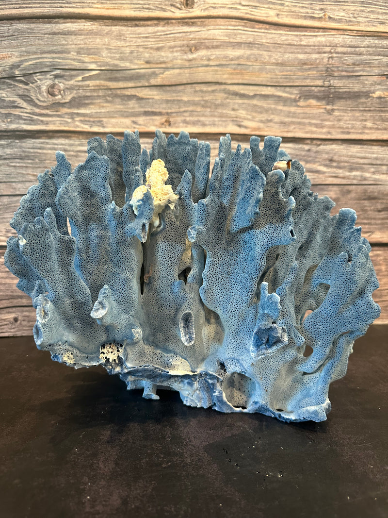 Blue Ridge Coral 12x10x10"