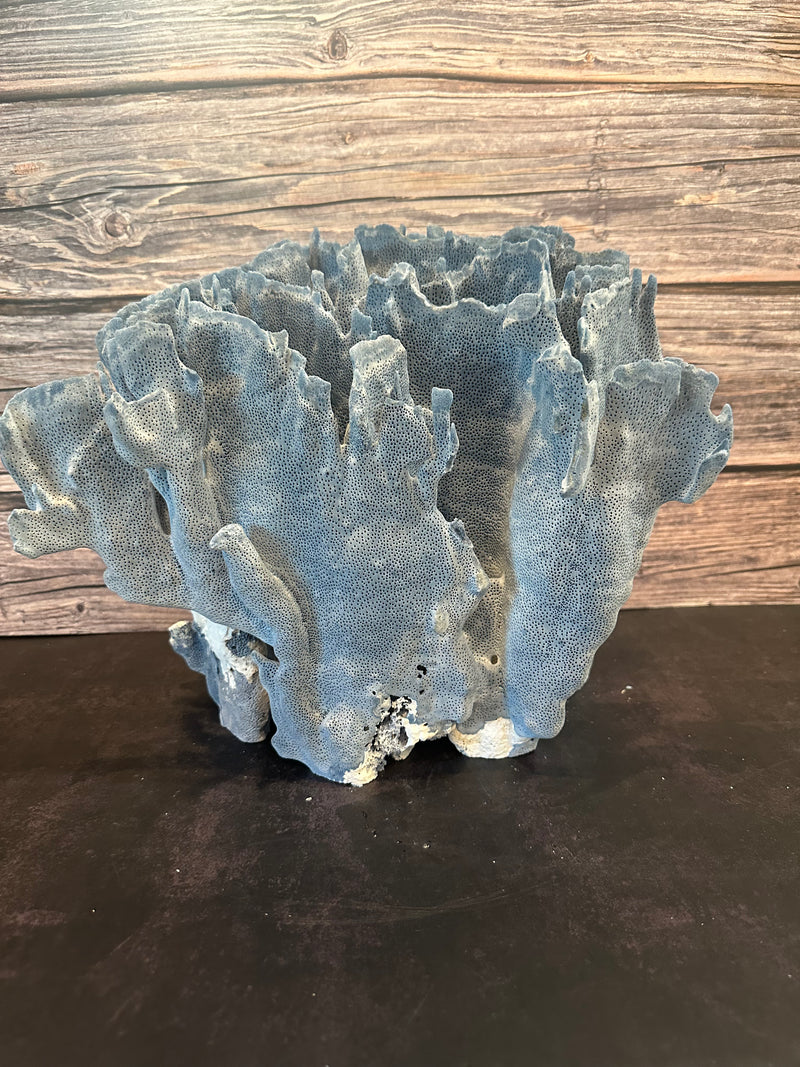 Blue Ridge Coral 15x10x12"