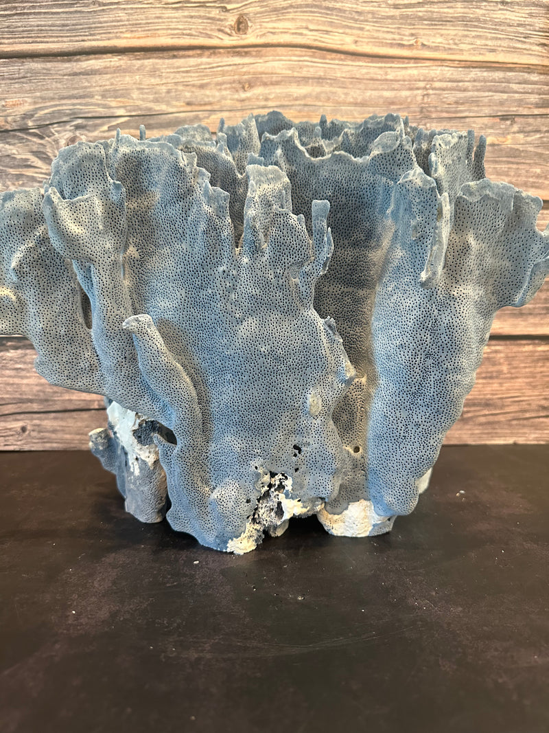 Blue Ridge Coral 15x10x12"