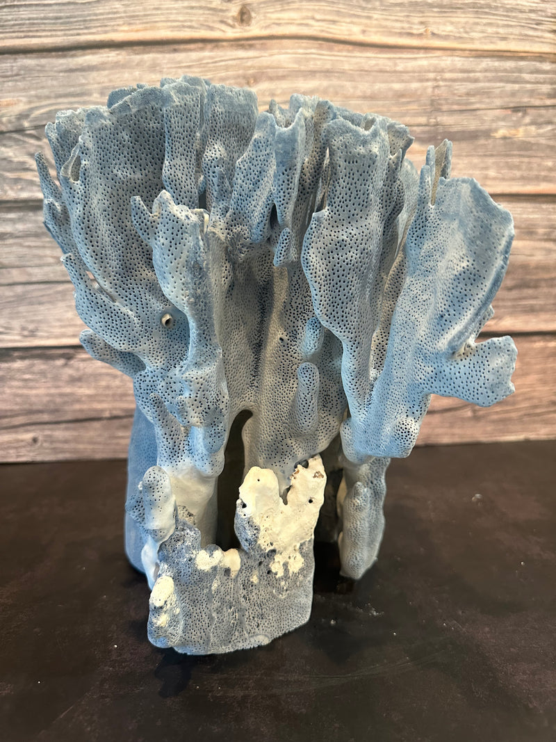 Blue Ridge Coral 15x10x12"