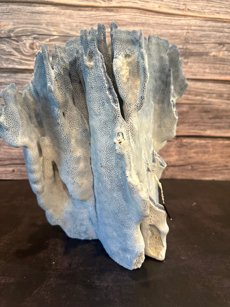 Blue Ridge Coral 15x10x12"