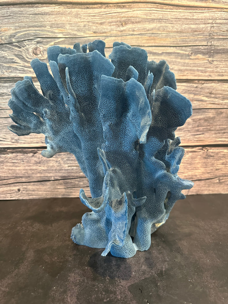 Blue Coral Show 11x10x12"