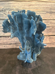 Blue Coral Show 11x10x12