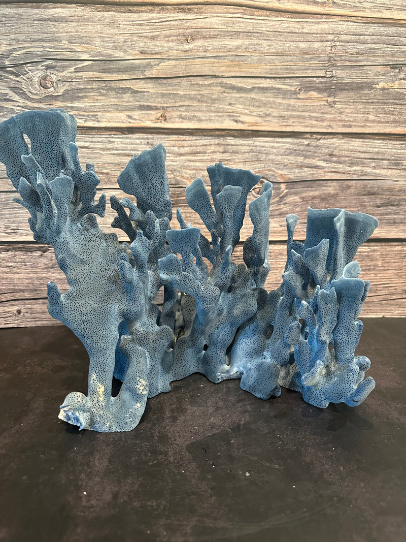 Blue Ridge Coral 15x11x11"