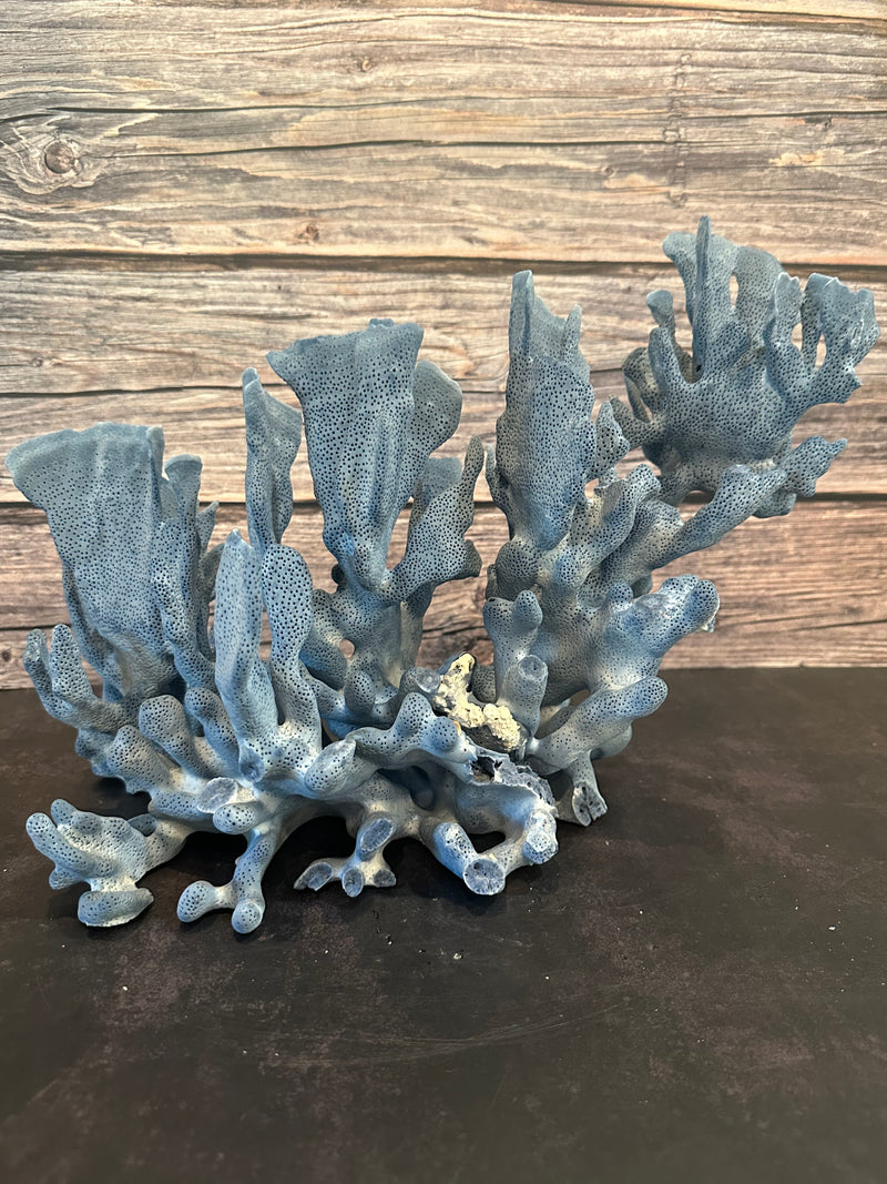 Blue Ridge Coral 15x11x11"