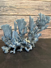 Blue Ridge Coral 15x11x11