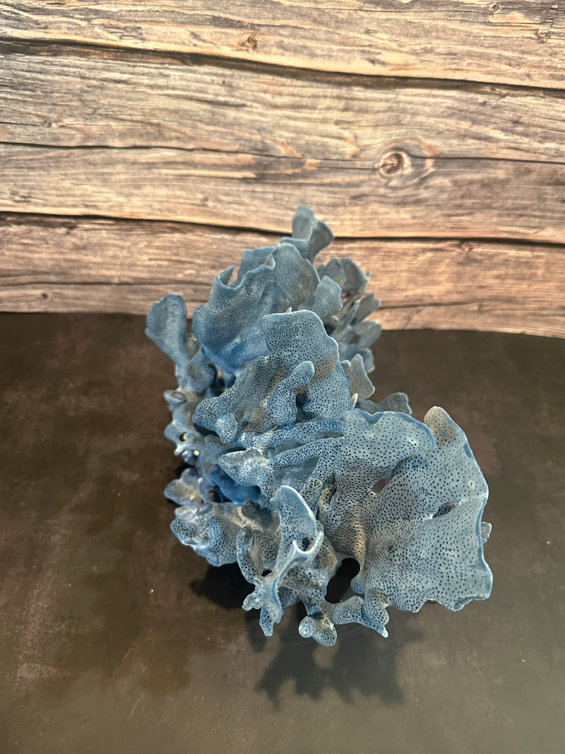 Blue Ridge Coral 15x11x11"