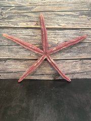 Giant Red Linckia Starfish 16