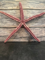 Giant Red Linckia Starfish 16