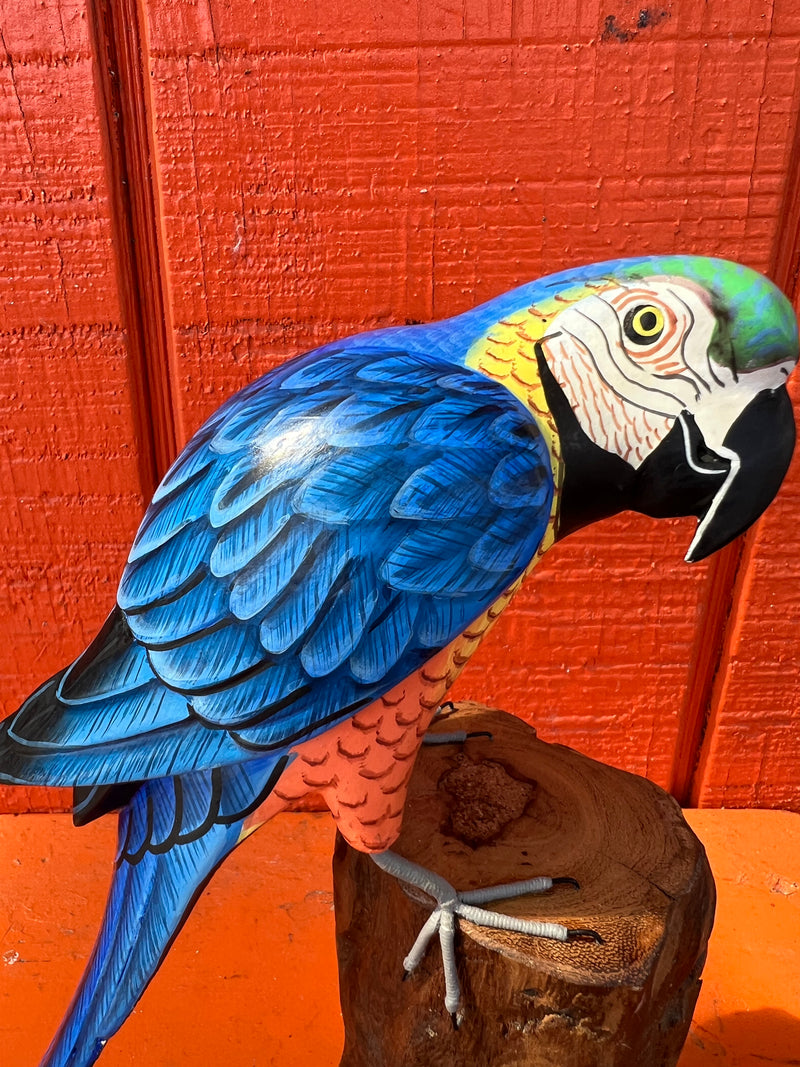 Medium Parrot On Stump- 3 Colors