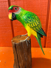 Medium Parrot On Stump- 3 Colors