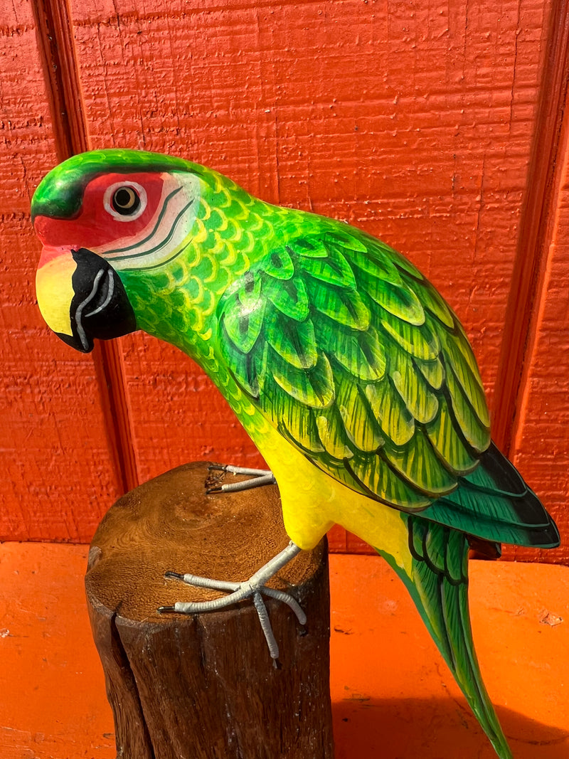 Medium Parrot On Stump- 3 Colors