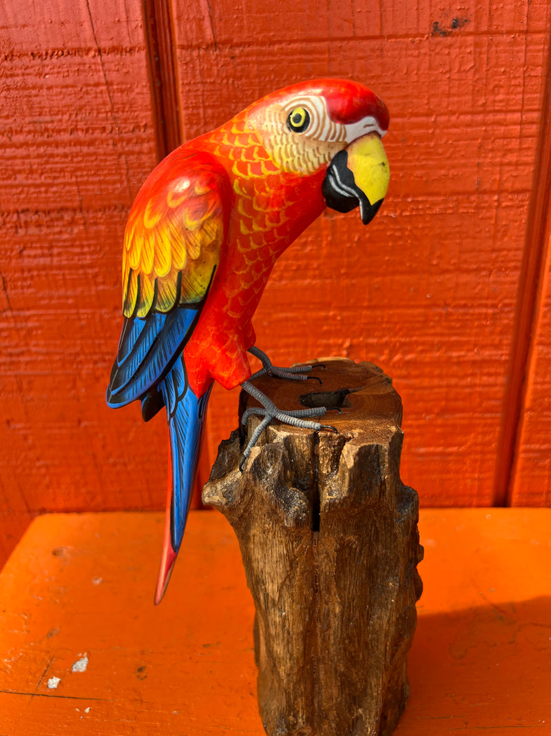 Medium Parrot On Stump- 3 Colors