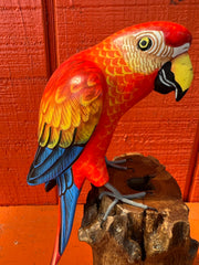 Medium Parrot On Stump- 3 Colors