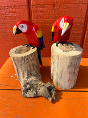 Small Parrot On Stump- Red