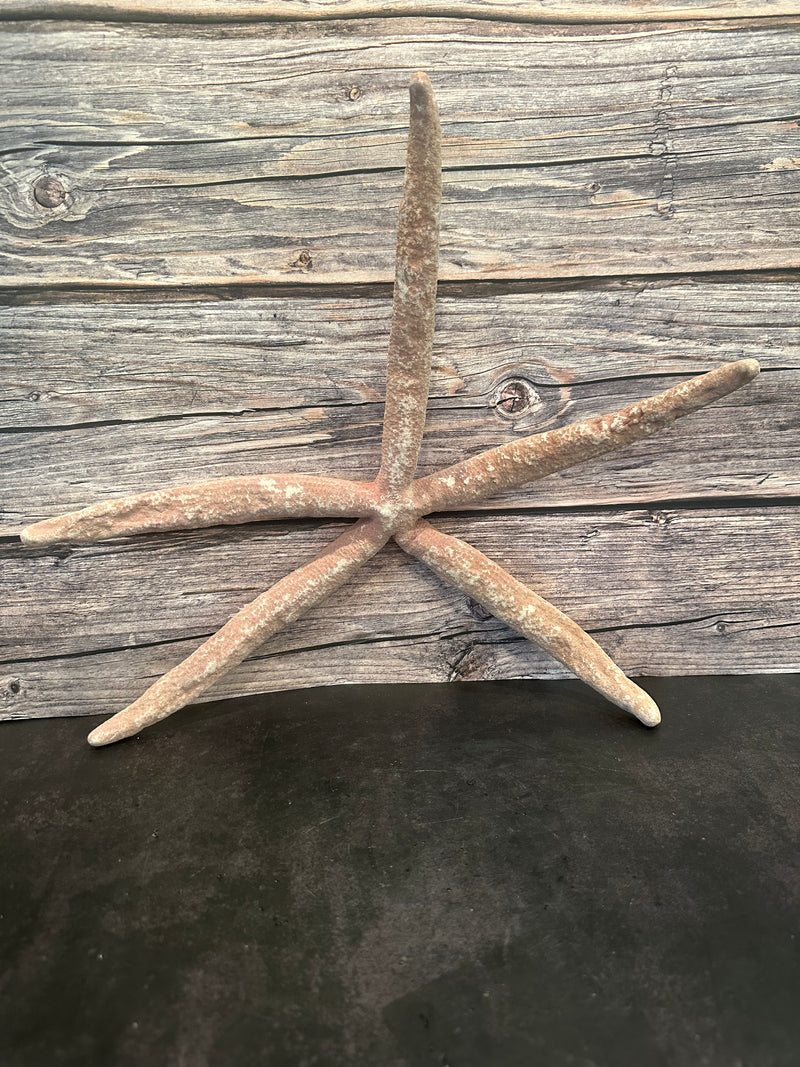 Giant Red Linckia Starfish 18"