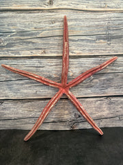 Giant Red Linckia Starfish 17