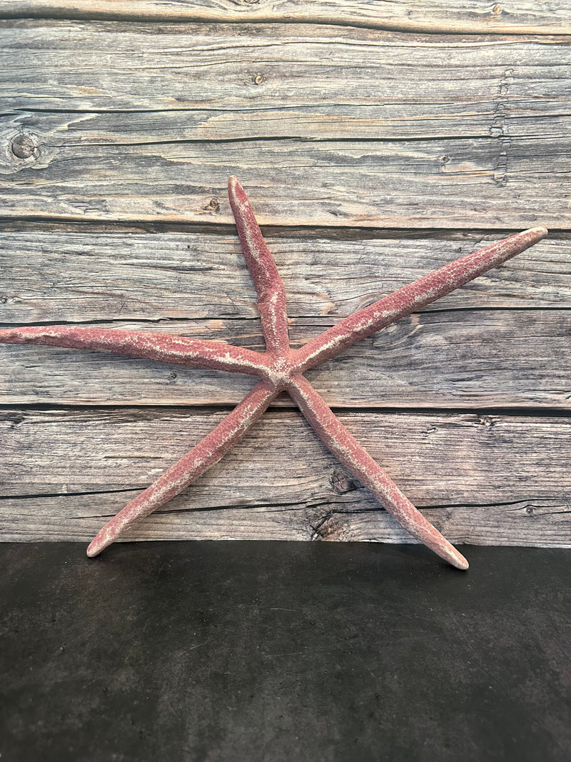 Giant Red Linckia Starfish 17.5"