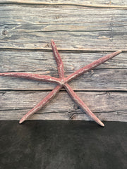 Giant Red Linckia Starfish 17.5