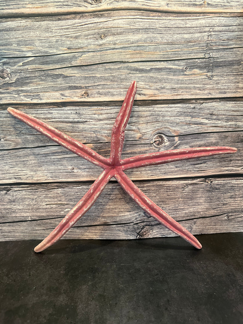 Giant Red Linckia Starfish 17.5"