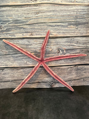 Giant Red Linckia Starfish 17.5