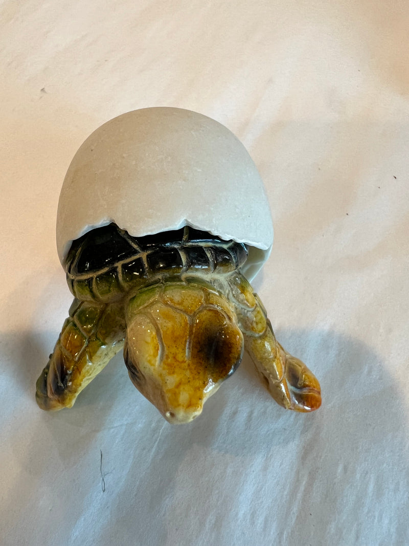 Turtle Egg- 3 Colors and Styles