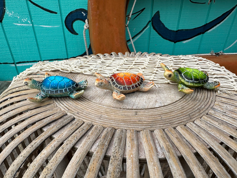 Turtle Magnets- 3 Styles