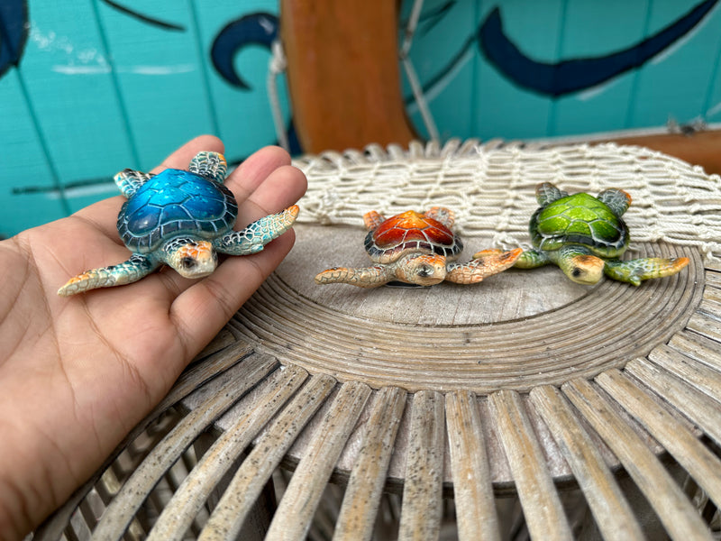 Turtle Magnets- 3 Styles