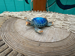 Turtle Magnets- 3 Styles