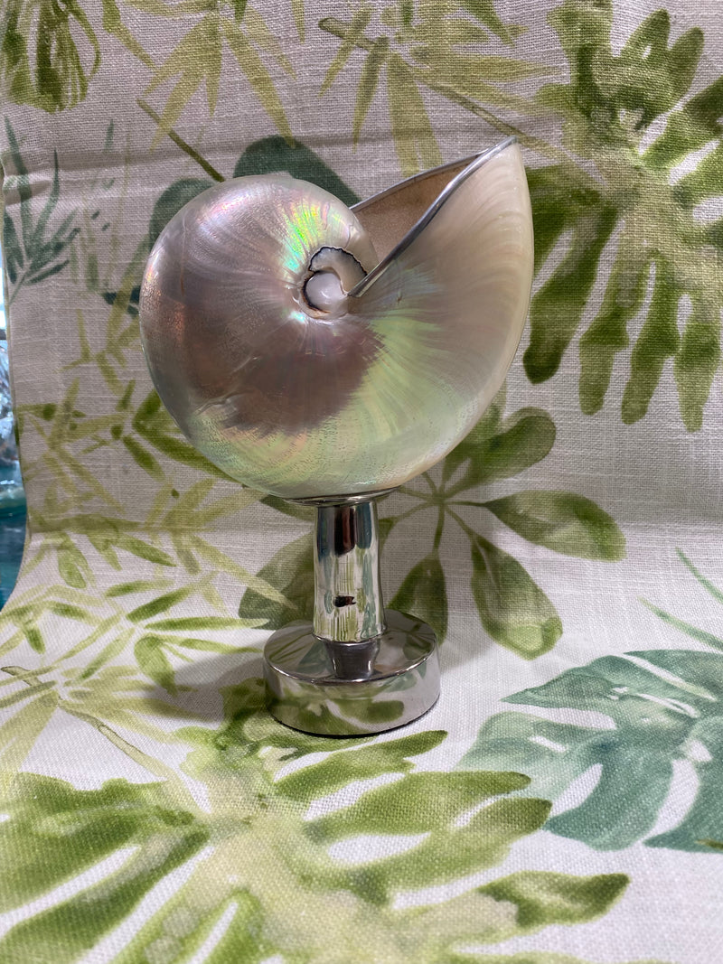 Pearl Nautilus Shell on metal stand