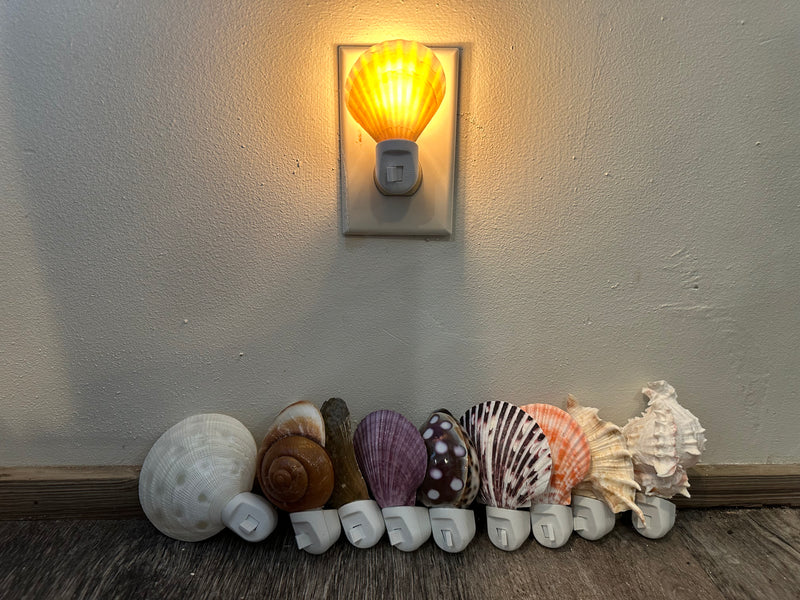 Assorted Seashell Night Light