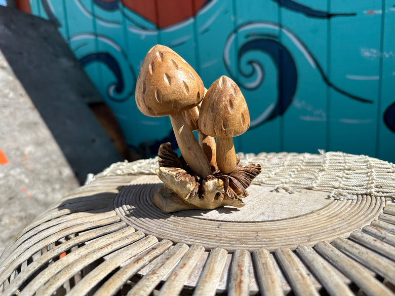 Carved Wooden Mushrooms