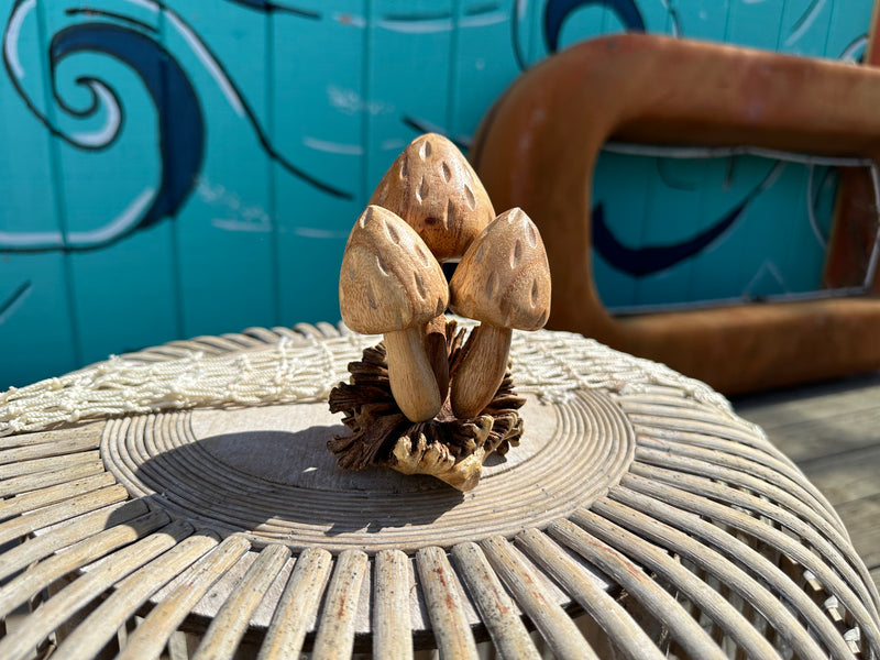 Carved Wooden Mushrooms