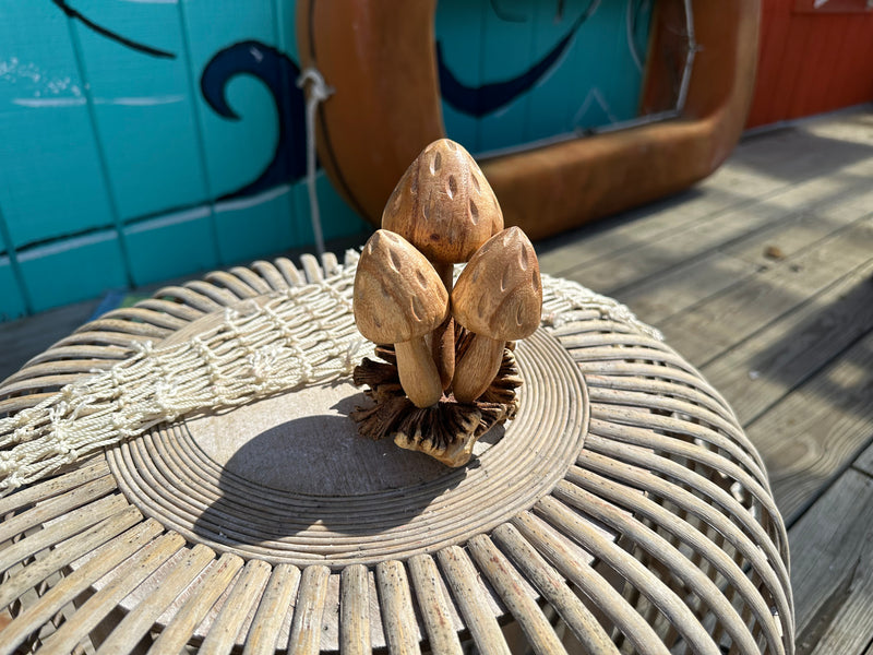 Carved Wooden Mushrooms