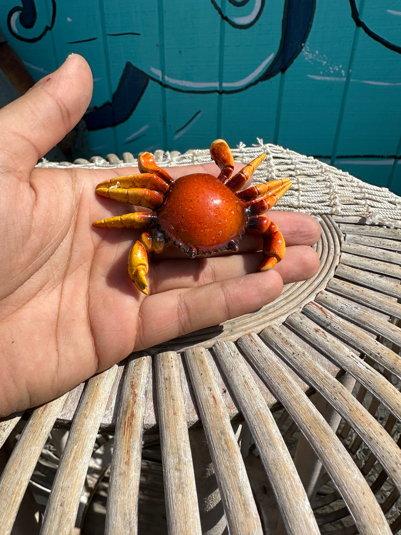 Assorted Resin Sea Life Magnets