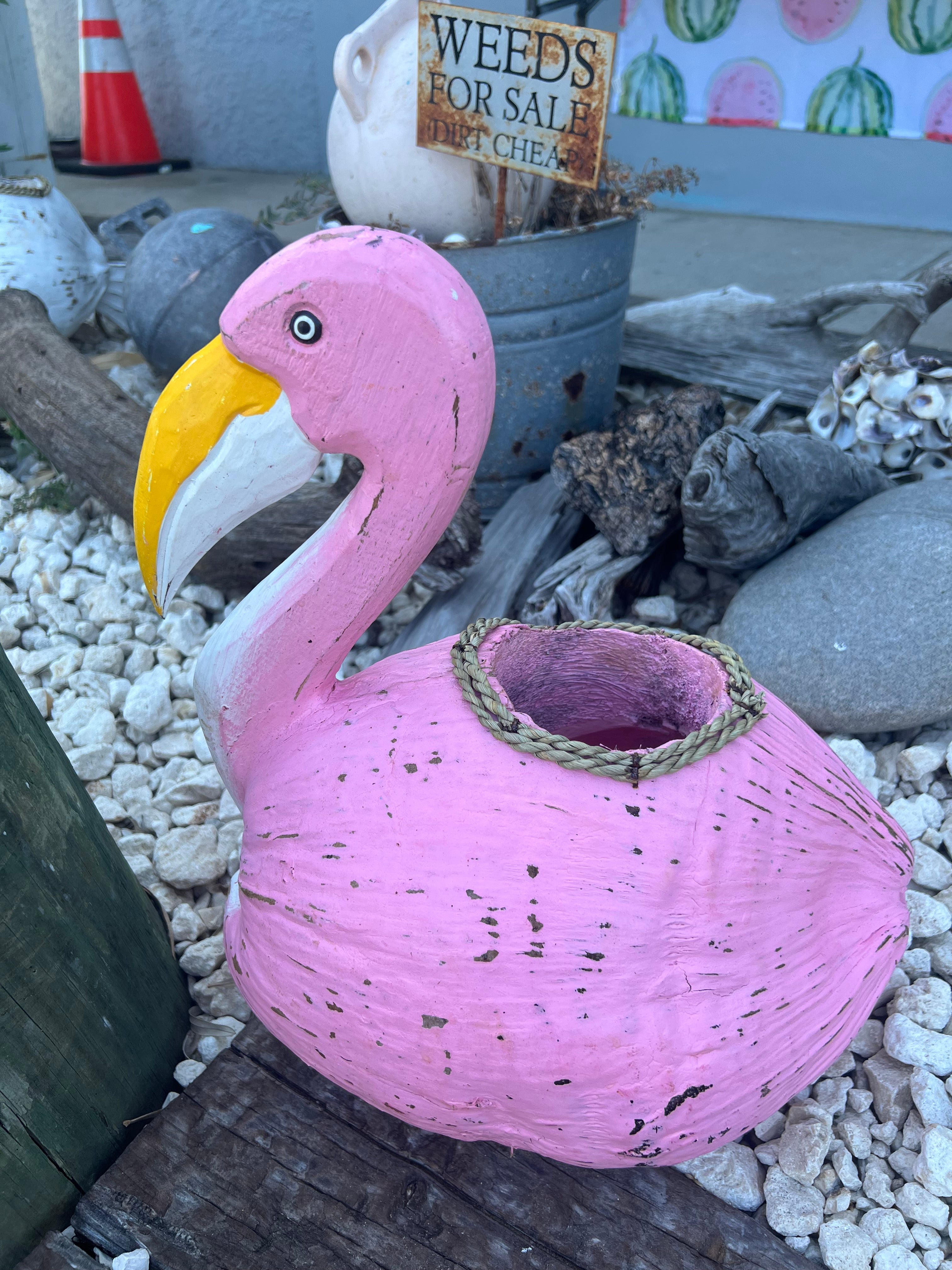 Flamingo Coconut | Loving Coastal