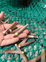 Pencil Sea Urchin Spines