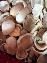 Locally Sourced Smooth Shells